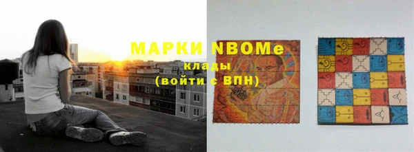 шишки Каменногорск