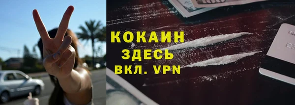индика Верея