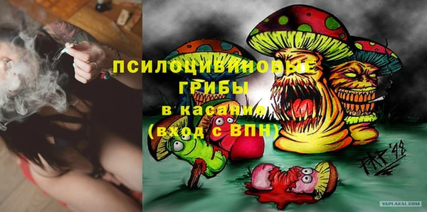 индика Иноземцево