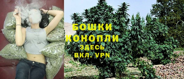 индика Иноземцево