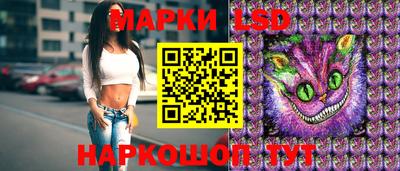 спиды Гатчина