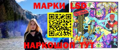 спиды Гатчина