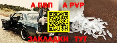 спиды Гатчина