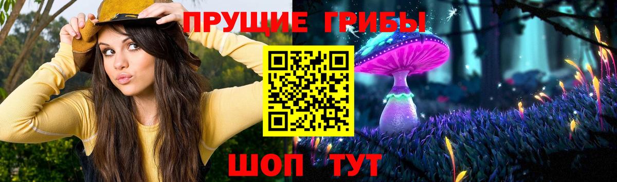 Галлюциногенные грибы Psilocybe  Вход с VPN  Коломна  Галлюциногенные грибы прущие грибы 